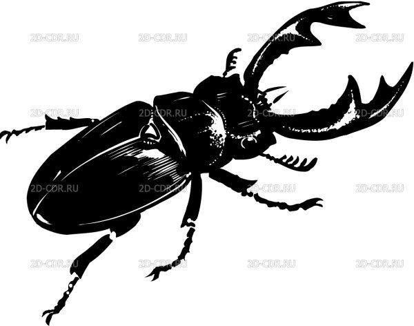 Жук носорог силуэт