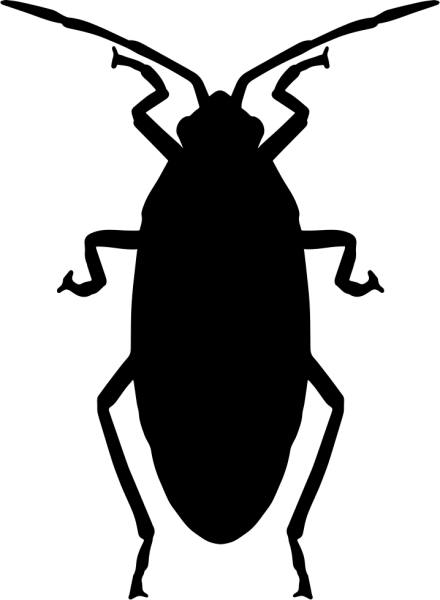 Иконки насекомых тараканы