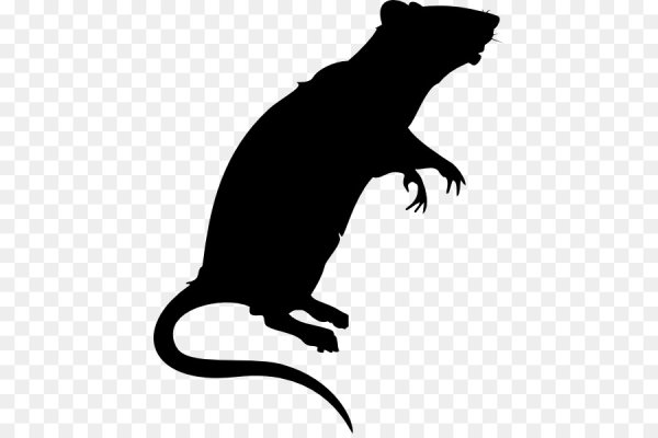 Силуэт крысы
