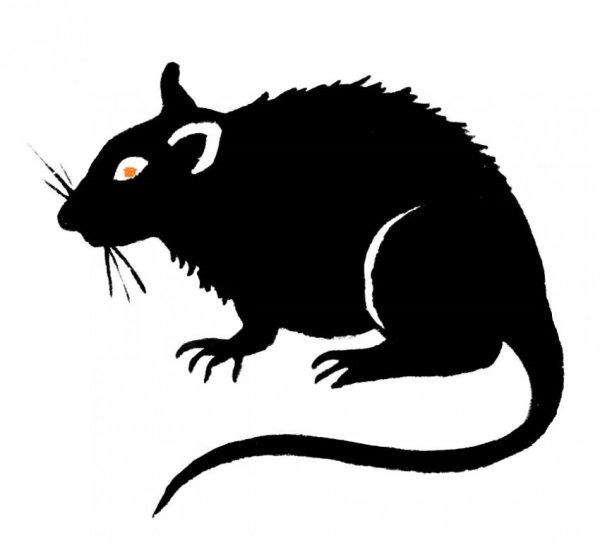 Злая крыса силуэт