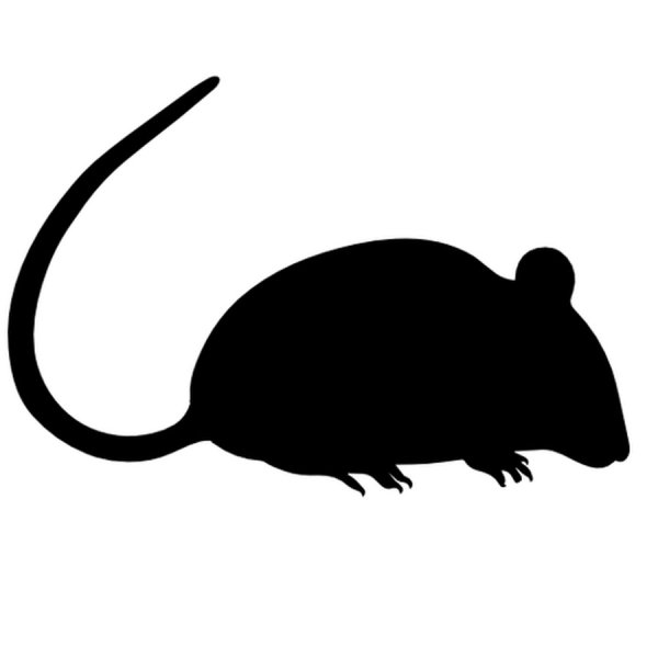 Силуэты грызунов