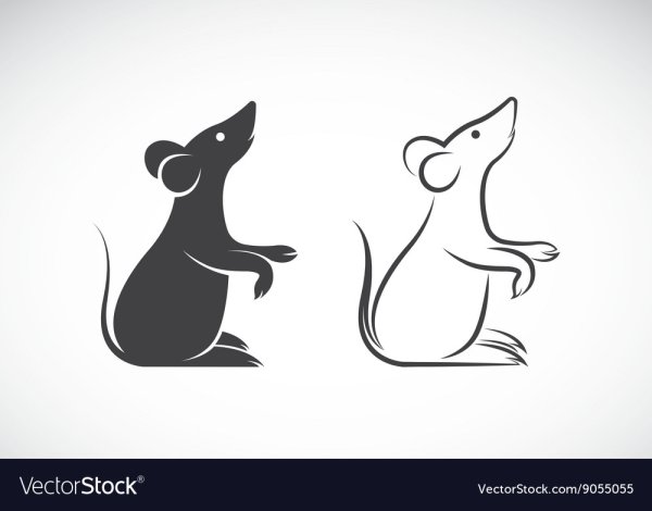 Металлическая крысы силуэты