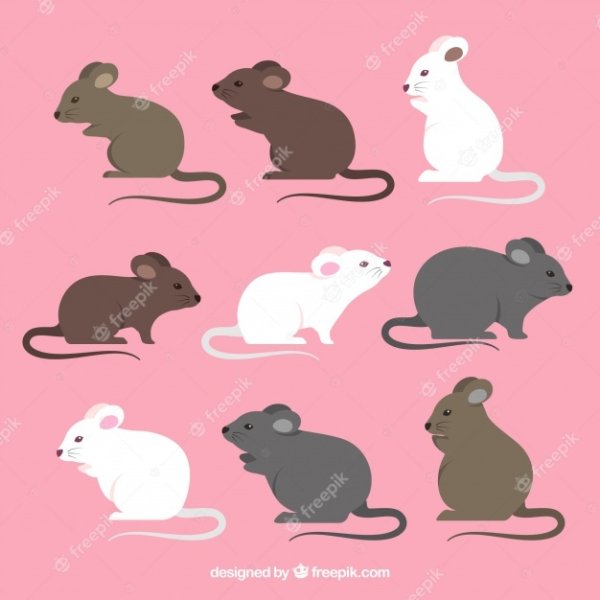 Стилизованная мышка