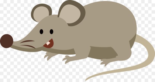 Rat для детей