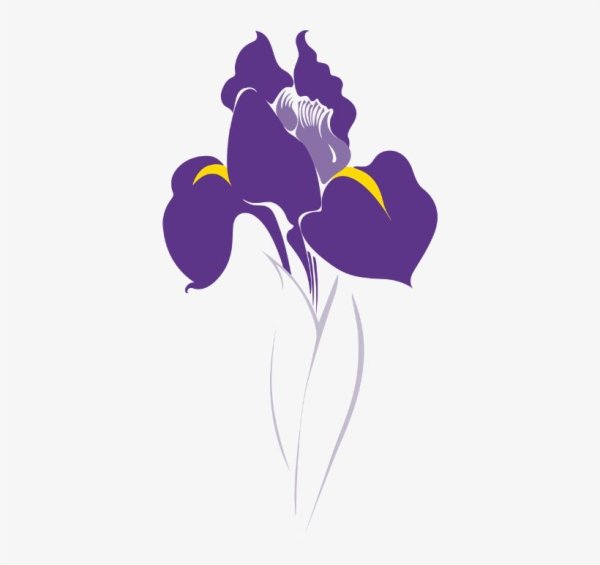 Ирисы Векторная Графика