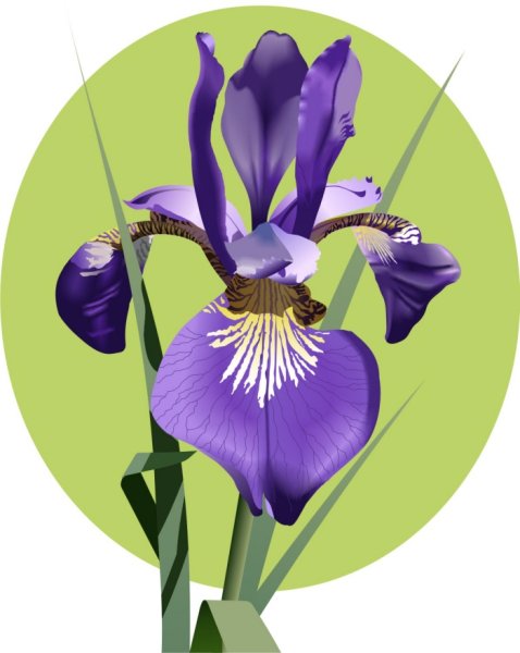 Медаль Ирис