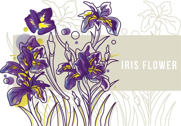 Ирисы вектор