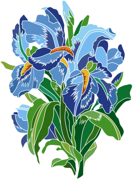 Ирисы Ришелье