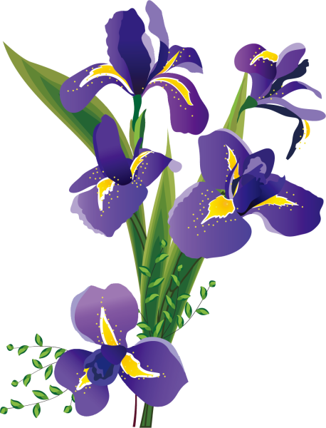 Ирисы мультяшные