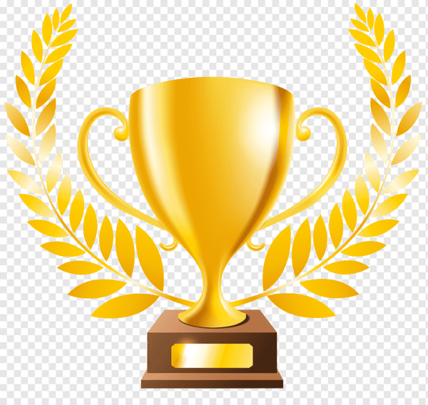 Кубок победителя