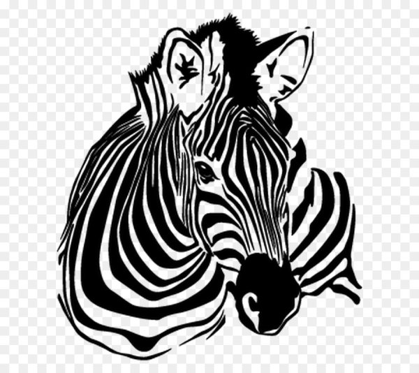 Зебра черно белая