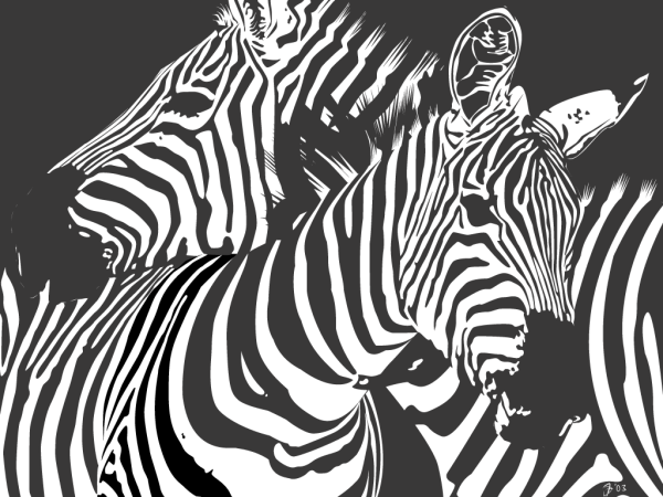Графическое изображение зебры