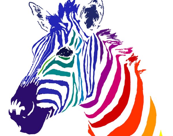 Разноцветная Зебра