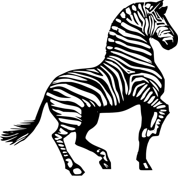 Зебра раскраска