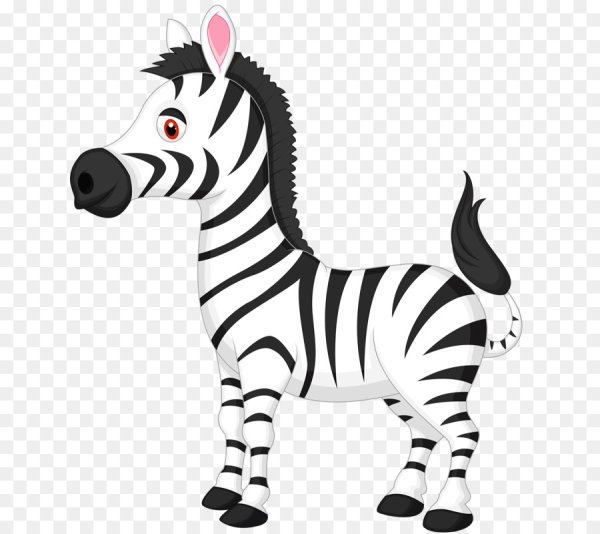 Зебра рисунок