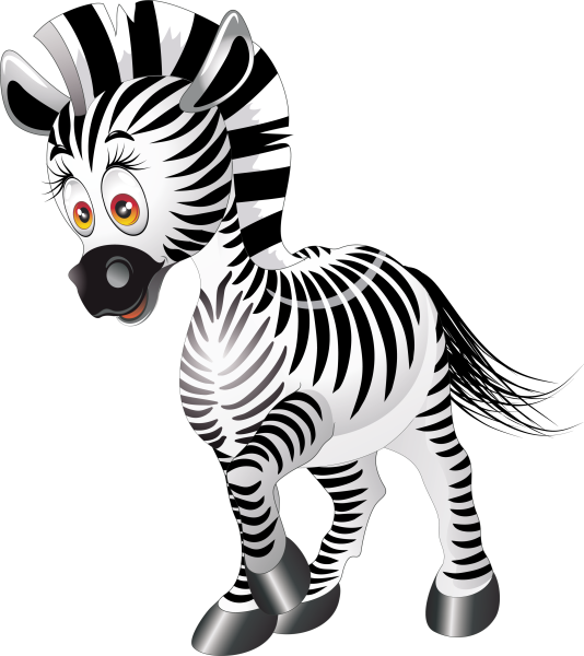 Зебра на белом фоне