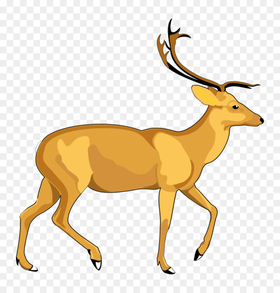 Олень вид сбоку