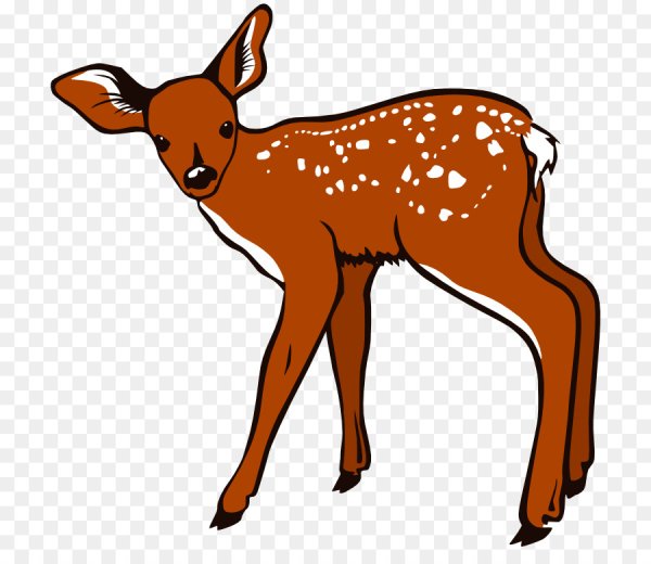 Лань для детей