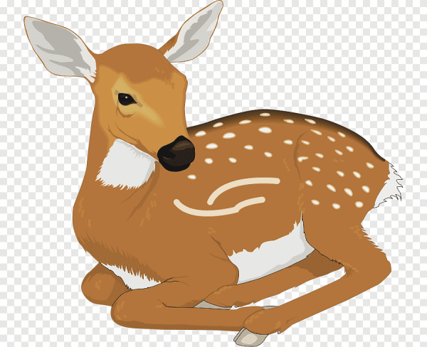 Лань мультяшный