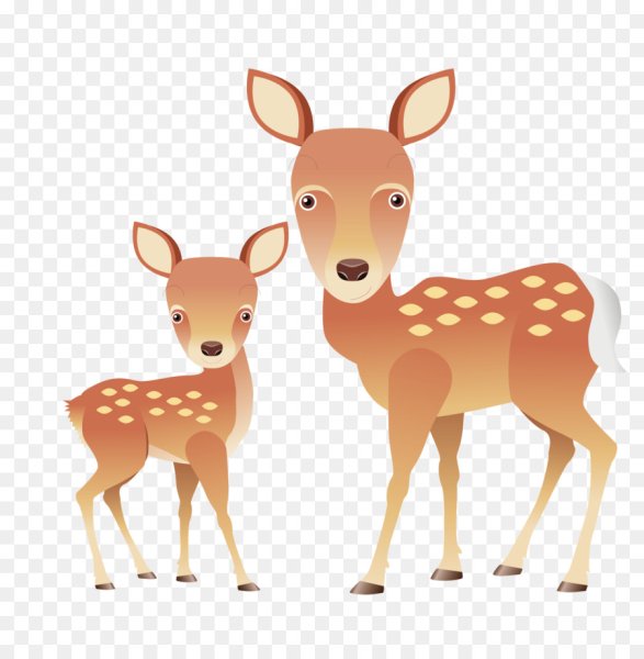 Пятнистый олень на белом фоне