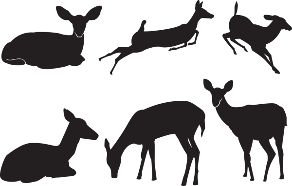 Силуэт оленя