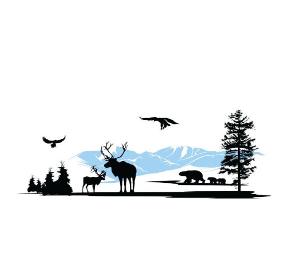 Север Графика