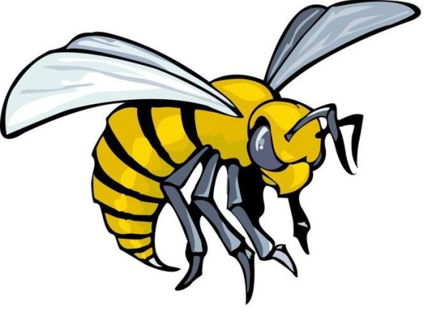 Оса для детей