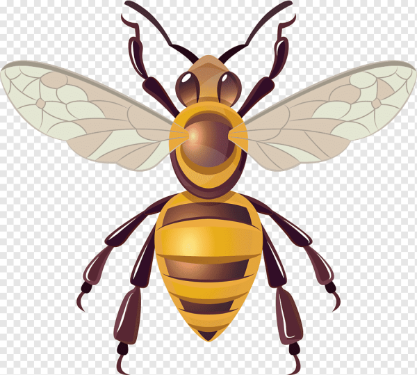 Пчела компьютерная Графика