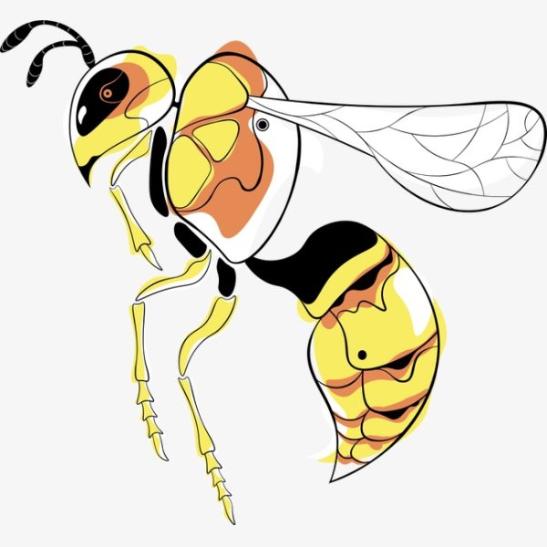 Оса рисунок