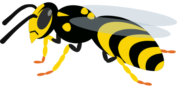 Оса для детей