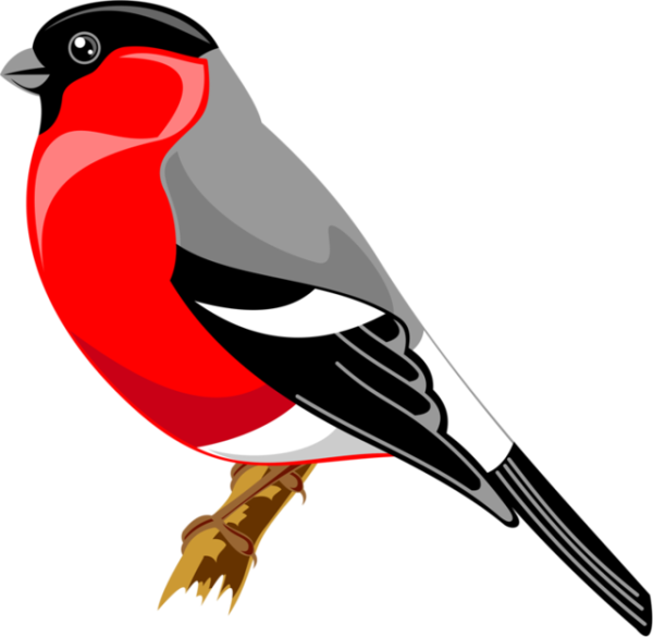 Снегирь для детей