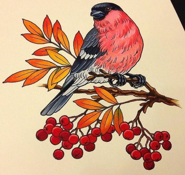 Ветка рябины