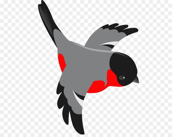 Снегирь для детей в полете