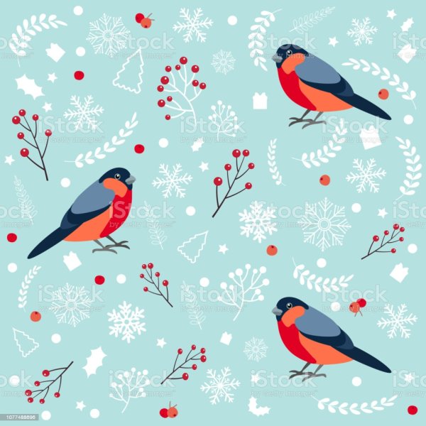 Сток вектор Снегирь