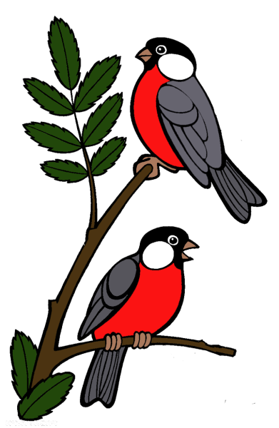 Снегирь для детей