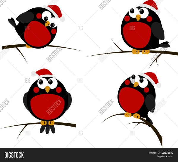 Птички на ветке смешные новогодние