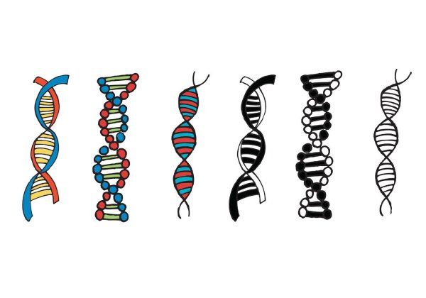 Спираль молекулы ДНК