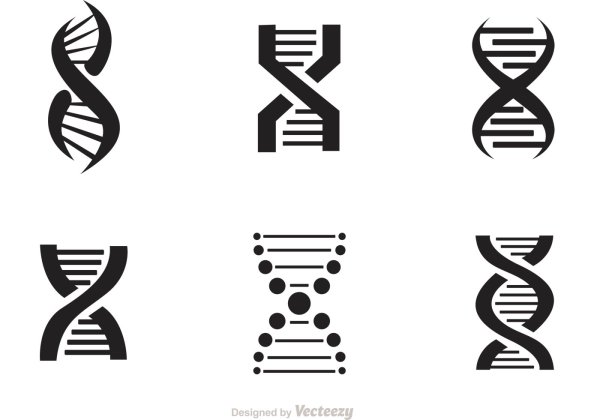 Эмблема ДНК