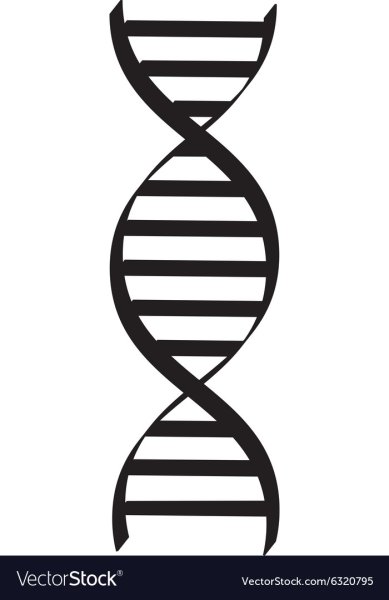 Спираль ДНК вектор