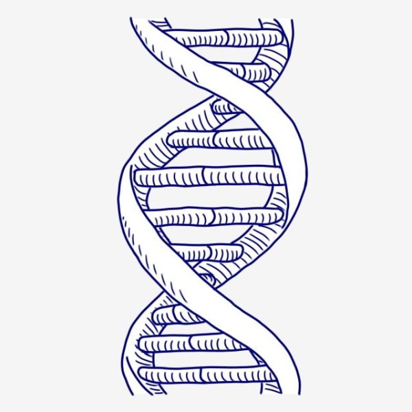 ДНК карандашом