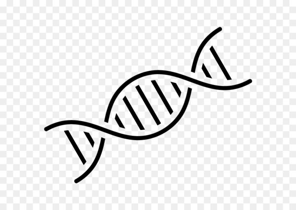 ДНК иконка
