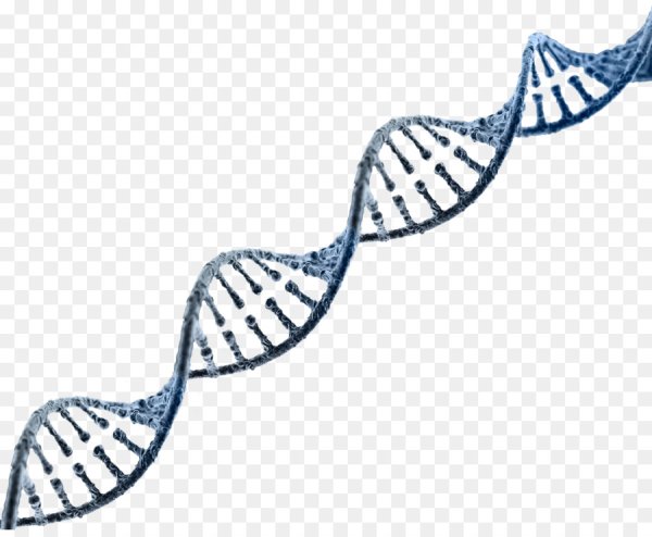 ДНК на прозрачном фоне