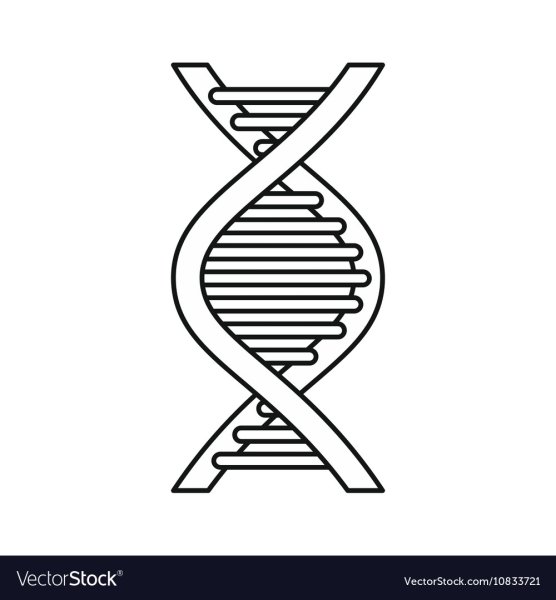 Цепочка ДНК вектор