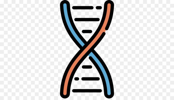 ДНК иконка вектор