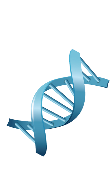 ДНК на прозрачном фоне