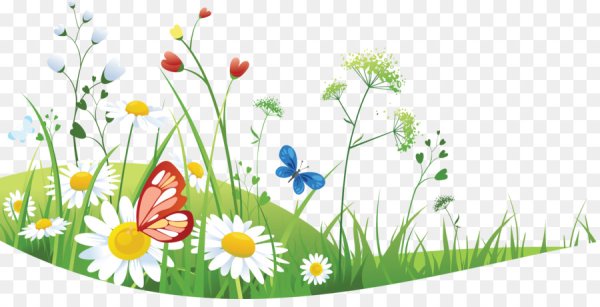 Лужайка с цветами для детей