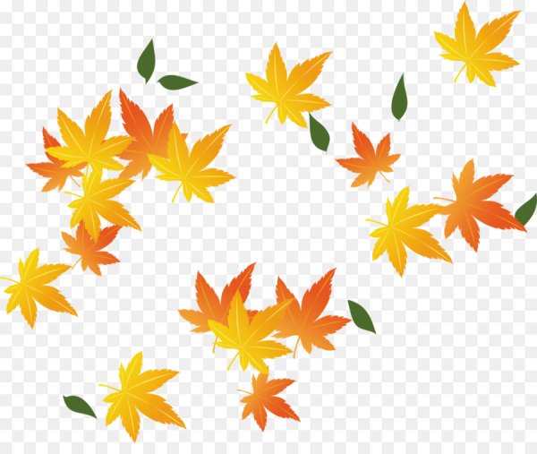 Желтая листва на прозрачном фоне