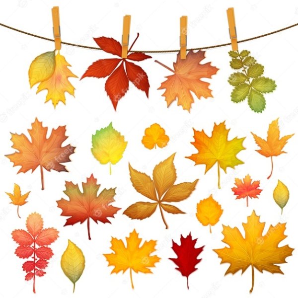 Осенние листья вектор