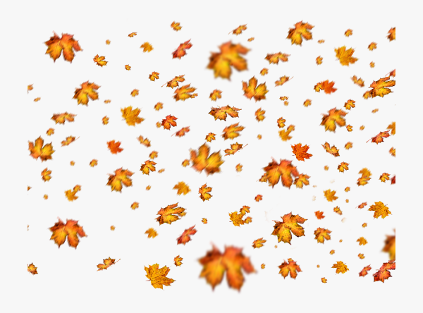 Падающие листья на белом фоне