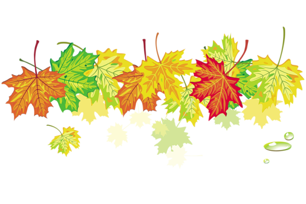 Осенний орнамент